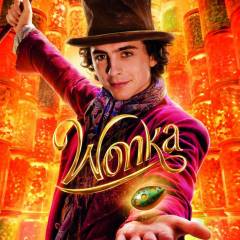 affiche wonka