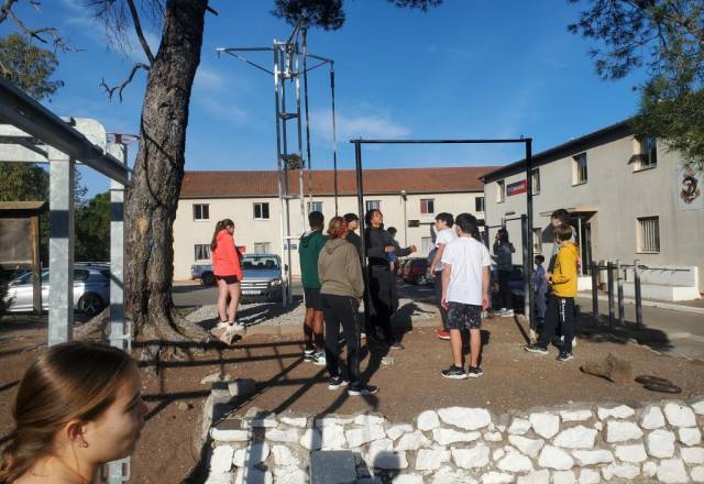 mini 20241205 131449