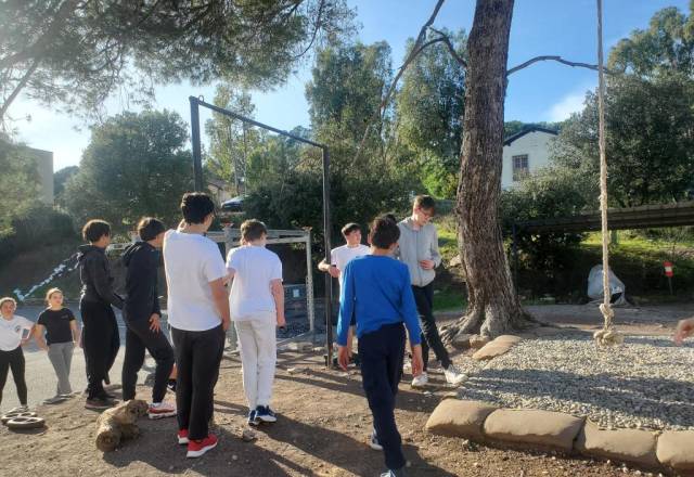 mini 20241205 131556