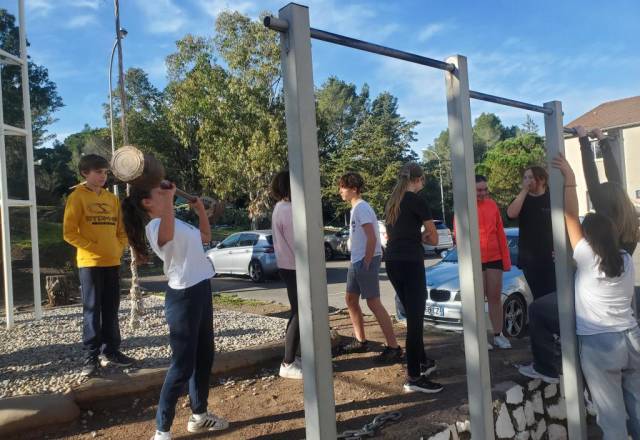 mini 20241205 131601