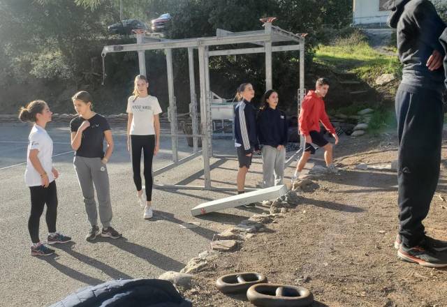 mini 20241205 131611