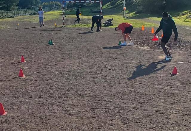 mini 20241205 132854