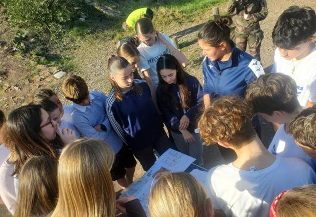 mini 20241205 133017