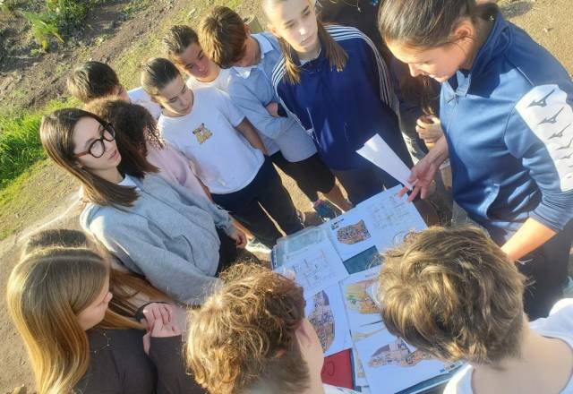 mini 20241205 133023