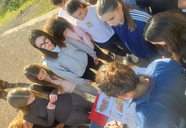 mini 20241205 133029