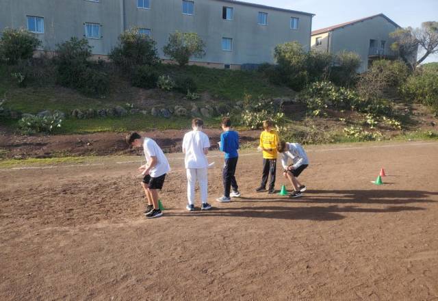 mini 20241205 135320