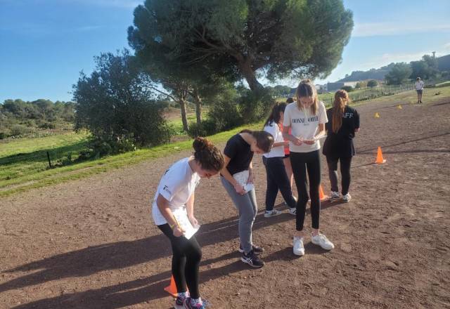 mini 20241205 135323