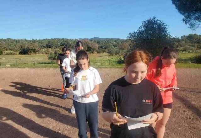 mini 20241205 135333