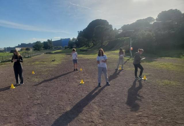 mini 20241205 135344