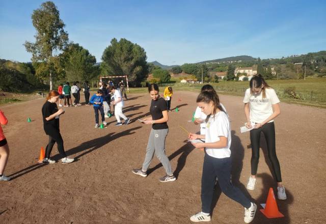 mini 20241205 135414