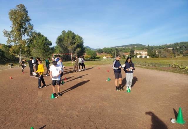 mini 20241205 135423