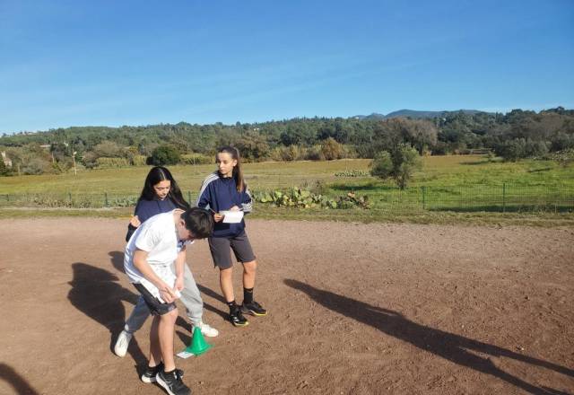 mini 20241205 135437