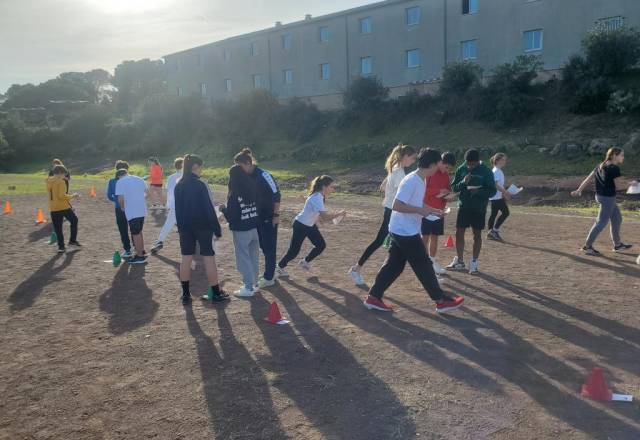 mini 20241205 135509