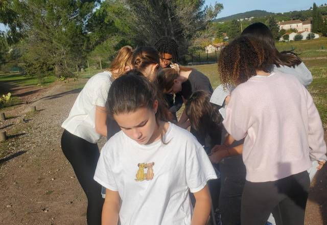 mini 20241205 135550