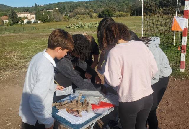 mini 20241205 135601