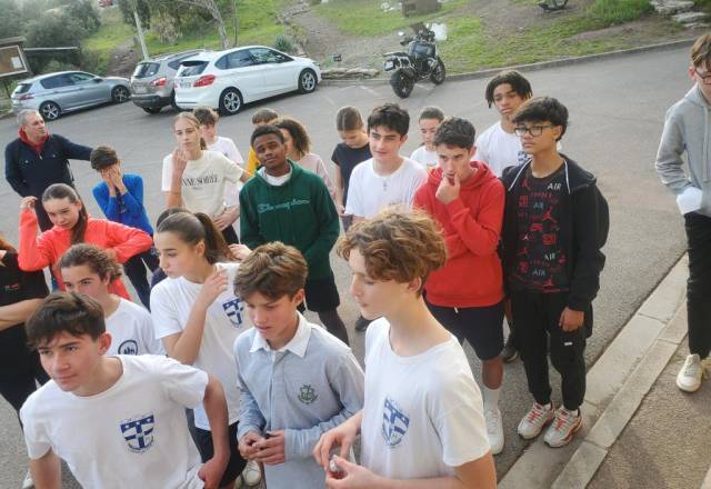 mini 20241205 153154