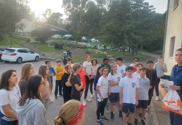 mini 20241205 153238