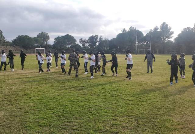 mini 20241219 134549