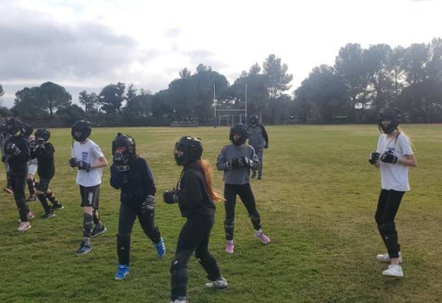 mini 20241219 134601