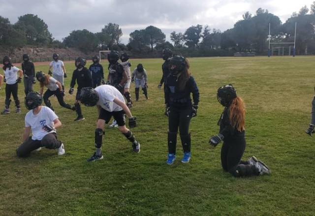 mini 20241219 134608