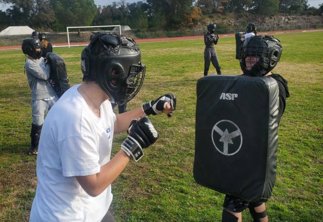 mini 20241219 135446