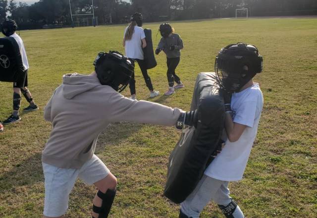 mini 20241219 135457