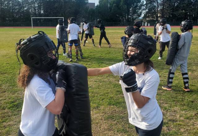 mini 20241219 135538