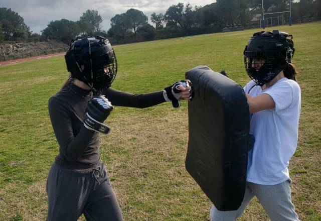 mini 20241219 135545