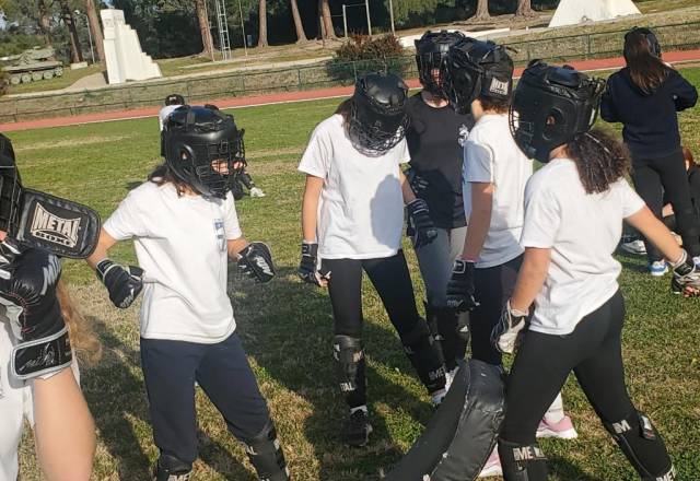 mini 20241219 143908