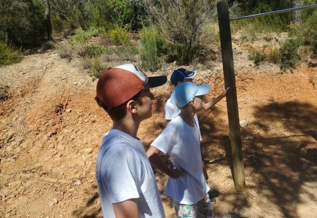 mini 20250911 142442