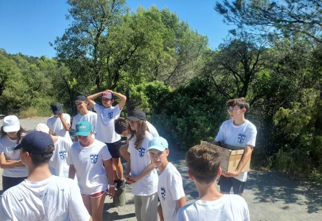 mini 20250911 143636