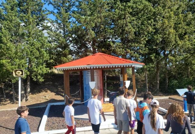 mini 20250925 145108