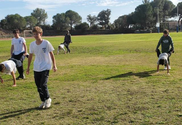 mini 20251106 140053