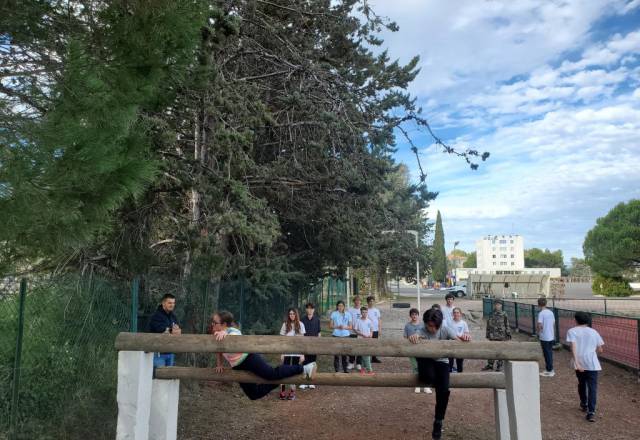 mini 20251106 141543