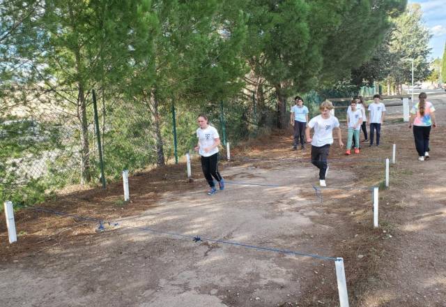 mini 20251106 141919