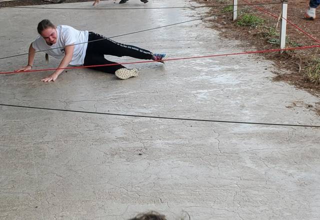 mini 20251106 142833