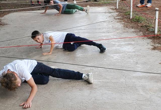 mini 20251106 142903