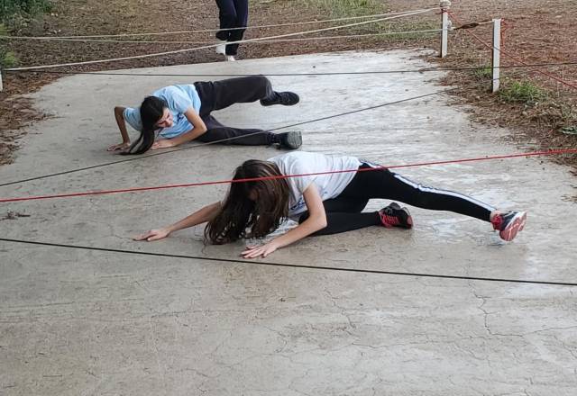 mini 20251106 142937