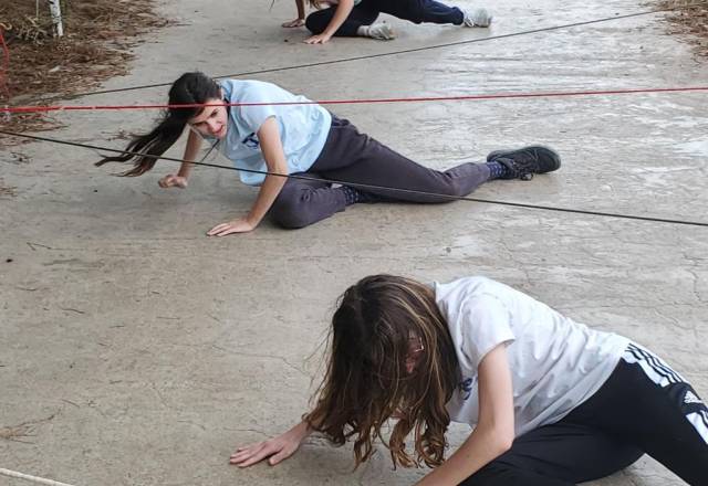 mini 20251106 142943