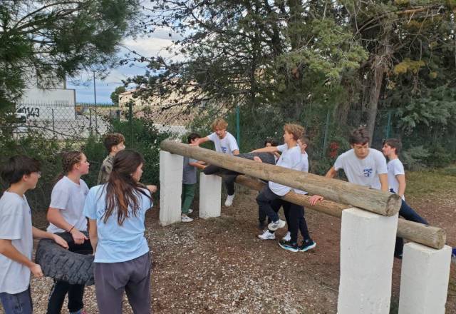 mini 20251106 152739