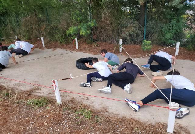 mini 20251106 152904