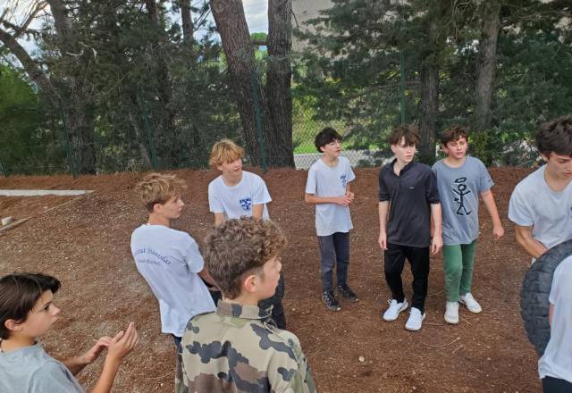 mini 20251106 153001