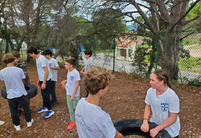 mini 20251106 153130