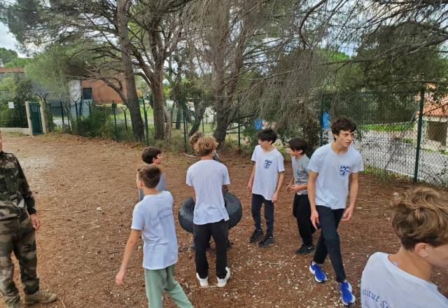 mini 20251106 153132