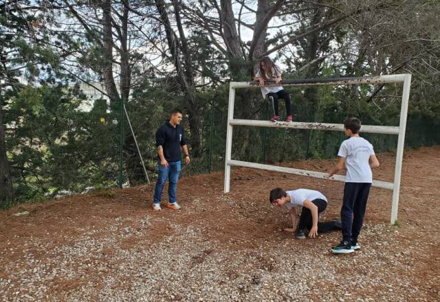 mini 20251106 153136