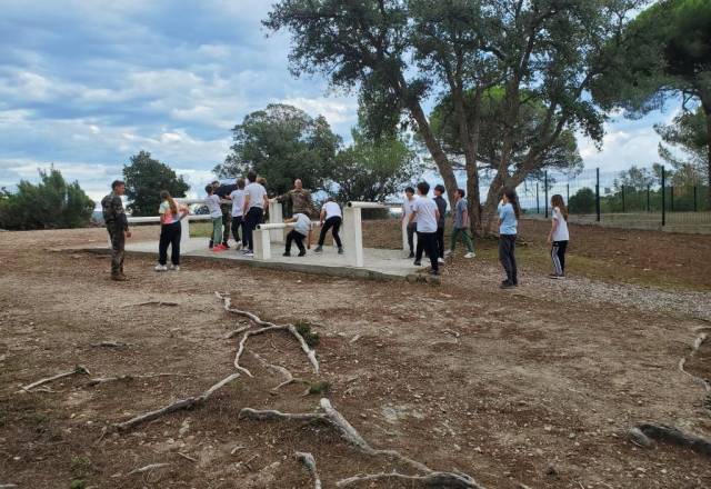 mini 20251106 153314