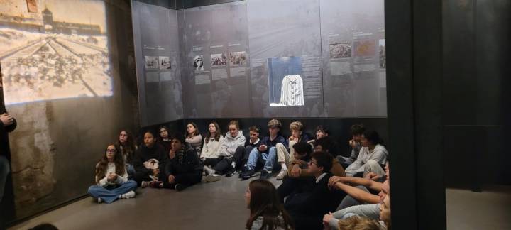 mini 20251113 105423(1)