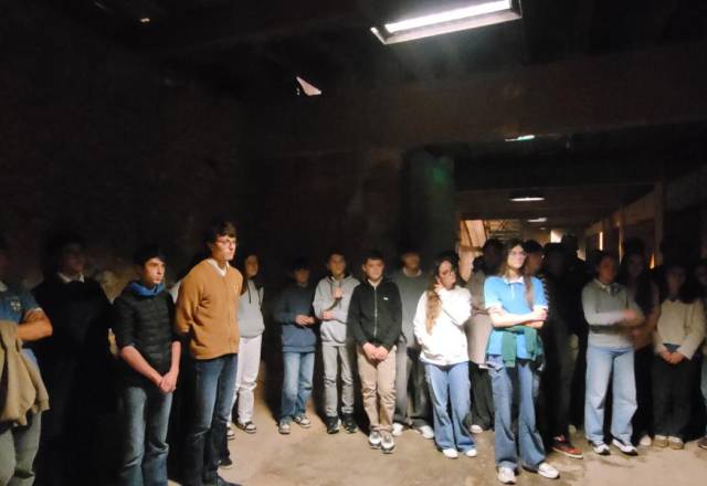 mini 20251113 110418