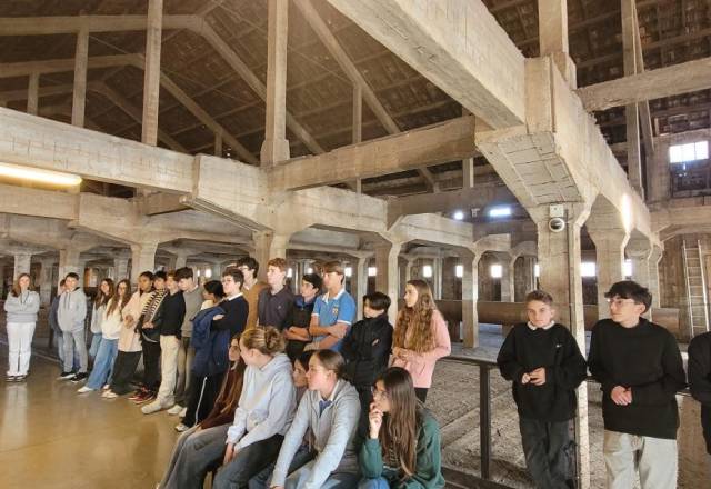 mini 20251113 113055(1)