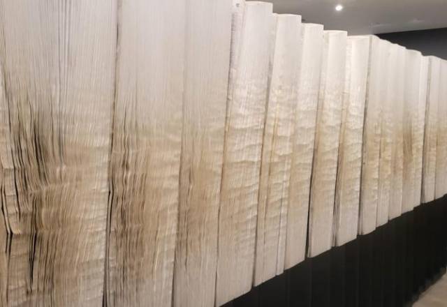 mini WhatsApp Image 2025 12 04 at 16.01.12 (1)